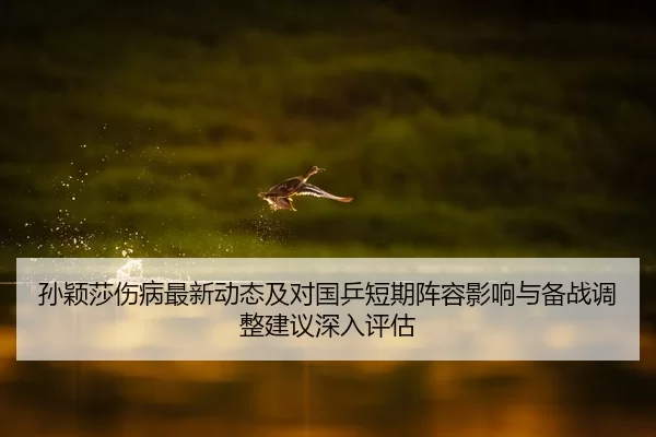 sun-ying-sha-shang-bing-zui-xin-dong-tai-ji-dui-guo-ping-duan-qi-zhen-rong-ying-xiang-yu-bei-zhan-tiao-zheng-jian-yi-2-186.jpg